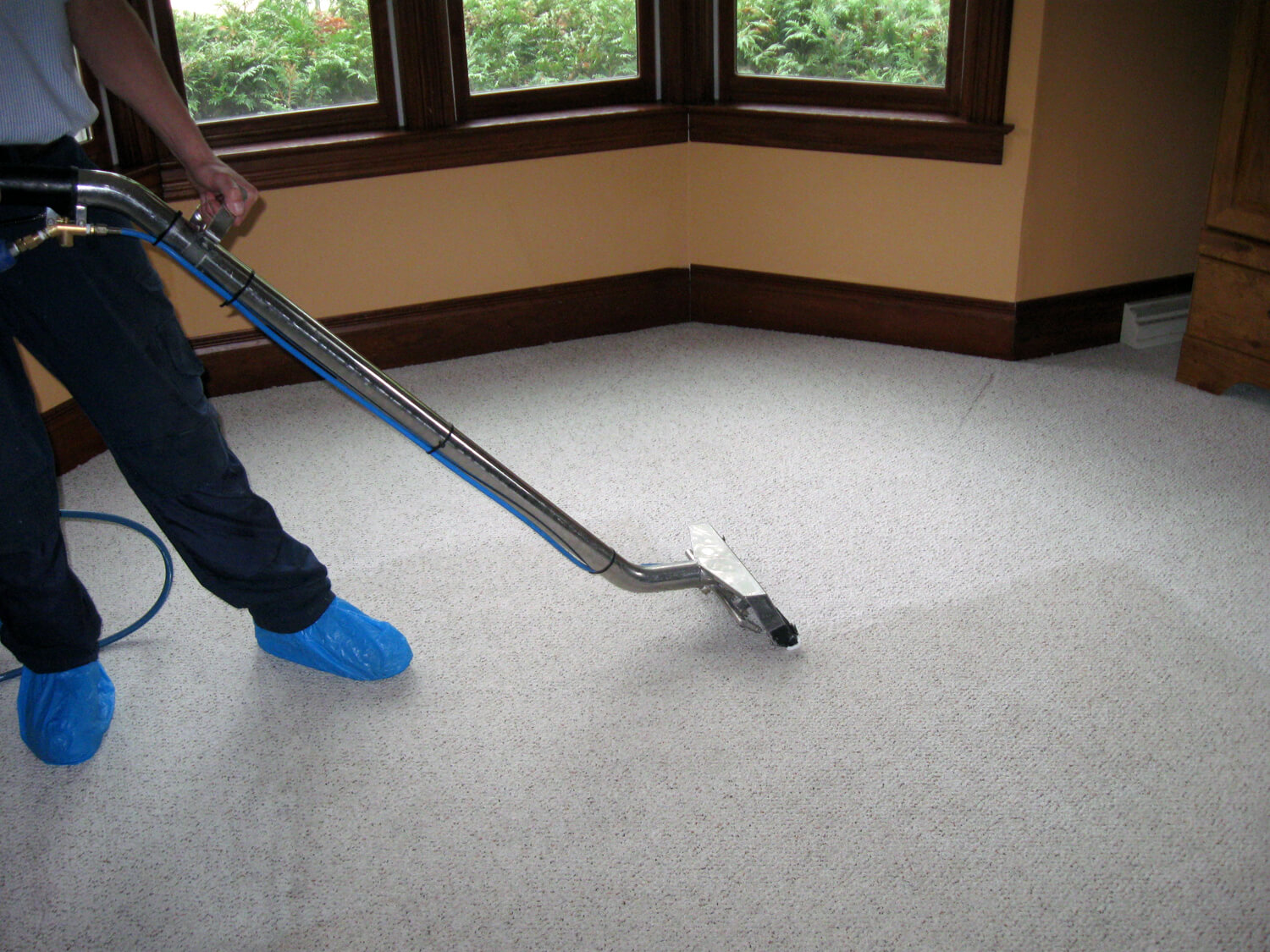 Expert Tips for Finding the Best Same Day Carpet Cleaning Services