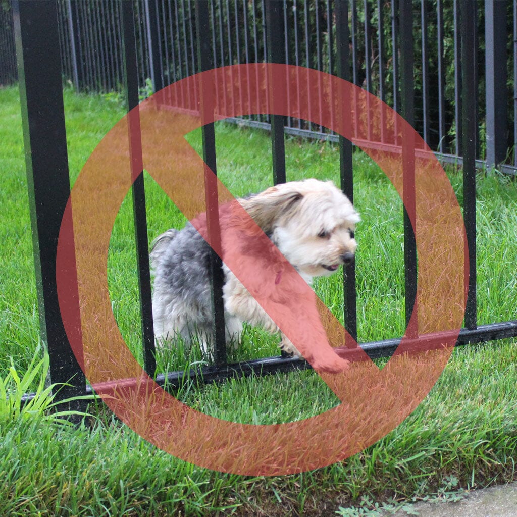 escape proof dog fence